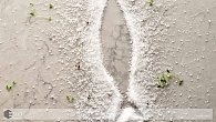Caesarstone 5211 Noble Grey (фото 4)