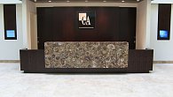 Caesarstone 8330 Окаменелое дерево (фото 4)