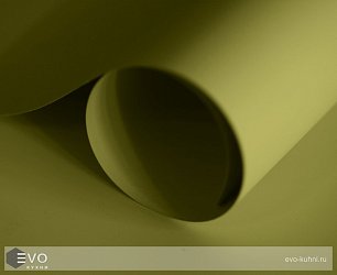 Олива SCM006