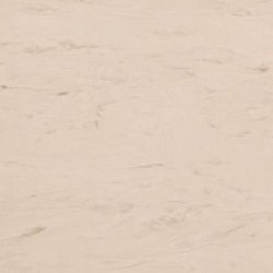 Shell Surface Grandex M-7041
