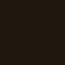 Hanex S-019 Brown Fever1