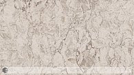 Caesarstone 6046 Moorland Fog (фото 1)