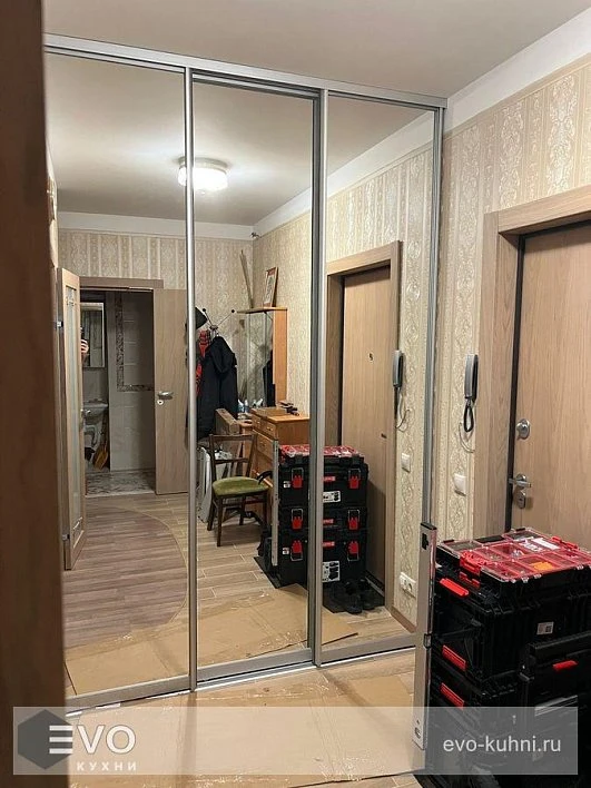 Шкаф-купе МН231102Ш (фото 1)