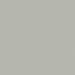 Corian Silver Gray1