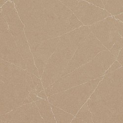 Caesarstone 5134 Urban Safari1