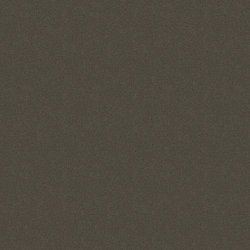Amazon SILESTONE1