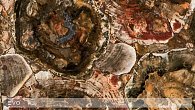 Caesarstone 8330 Окаменелое дерево (фото 1)