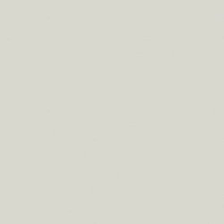 Corian Pearl Gray1
