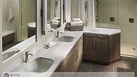 Corian Arrowroot (фото 3)