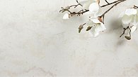 Staron VM143 Supreme Magnolia (фото 4)