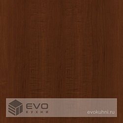 Каштан Ольха