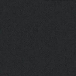 Negro anubis SILESTONE1