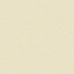 Corian Bone1