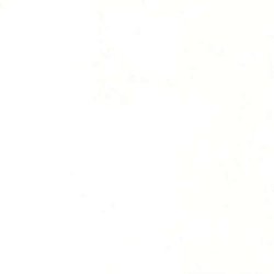 Sparkling Sand Grandex S-2031