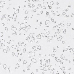 Staron QD212 Mosaic Dalmatian1