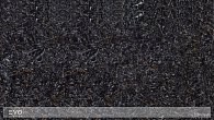 Radianz AS955 Aster (фото 1)