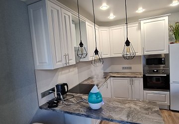 Кухня РЮ220206