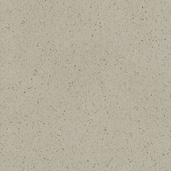 Staron SG428 Sanded Goose1