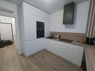 Кухня РН2310021