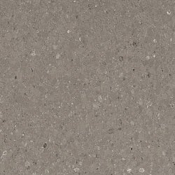 Caesarstone 4230 Shitake1