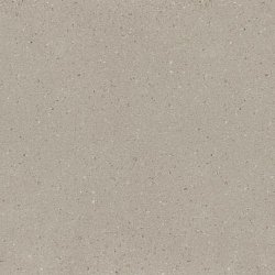 Vicostone BQ-8805 Cendre1