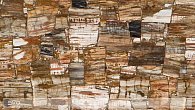 Caesarstone 8331 Окаменелое дерево (фото 1)