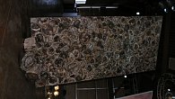 Caesarstone 8330 Окаменелое дерево (фото 3)