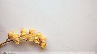Staron VB172 Supreme Beige Granite (фото 6)