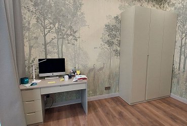 Корпусная мебель РФ25072011