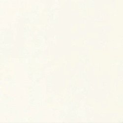 Pure Beige Grandex P-1021