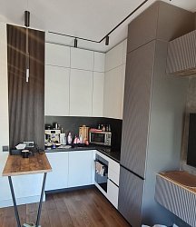 Кухня РТ2410021