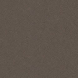 Caesarstone 4120 Raven1