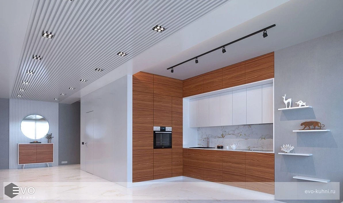 Кухня COLOR и PRIMA (фото 2)