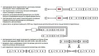 Макмарт Лента светодиодная SMD3528, 120 LED/м, 9,6Вт/м, 12В (фото 5)