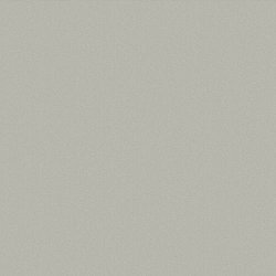 Vicostone BQ-277 Santenay (Honed)1