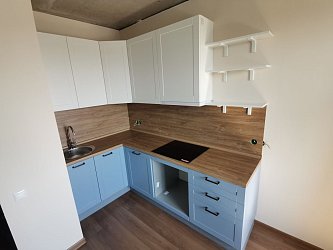 Кухня МС2105021