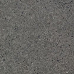 Radianz CH949 Charcoal1