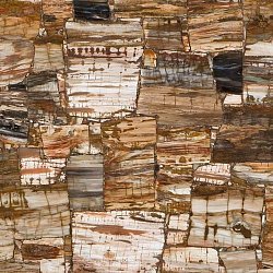 Caesarstone 8331 Окаменелое дерево1
