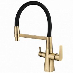 ZorG SH 818-6 BRONZE1