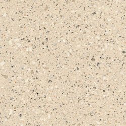 Corian Fossil1